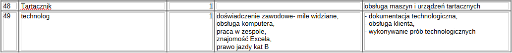 17praca2006