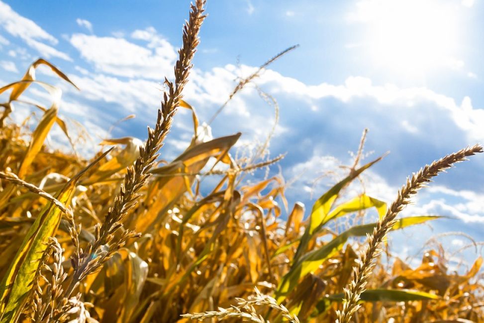 Nowe stacje meteo na Mazowszu. Ruszył nabór wniosków