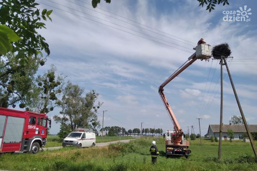 Ratowanie gniazda bocianów w Rączkach (zdjęcia)