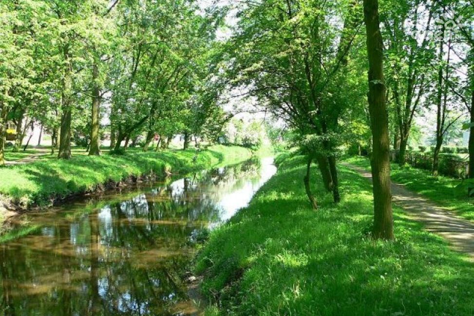 Duży park w Raciążu zmieni się nie do poznania