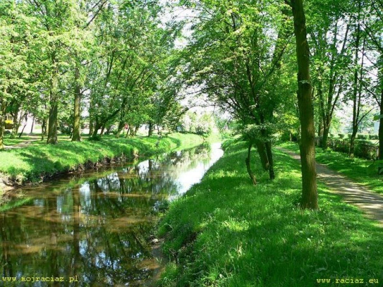 Duży park w Raciążu zmieni się nie do poznania