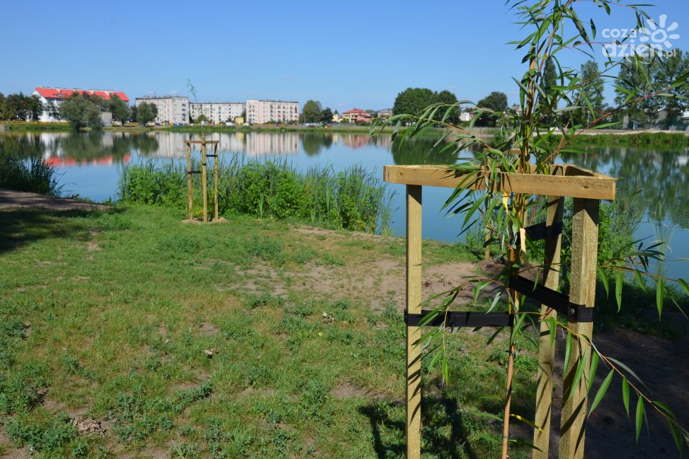 Czy marzenie płońszczan o kąpielach w Rutkach nareszcie się spełni? Miasto chce sięgnąć po pieniądze na łagodzenie skutków zmian klimatu.