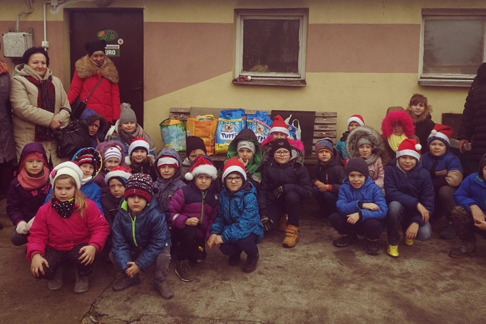 Mikołajki w Schronisku dla Zwierząt Bezdomnych w Pawłowie pod znakiem zapytania