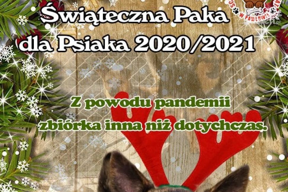 Schronisko w Pawłowie. Blisko tona karmy już zebrana! 