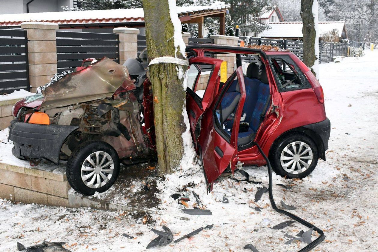 Nietrzeźwa Ukrainka z czwórką pasażerów wjechała w drzewo