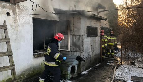 Tragiczny pożar na Witosa, znamy szczegóły