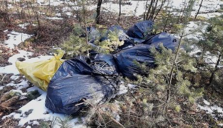 Wyrzucił do lasu gumowe osłony kabli. Zapłacił 1000 zł mandatu!