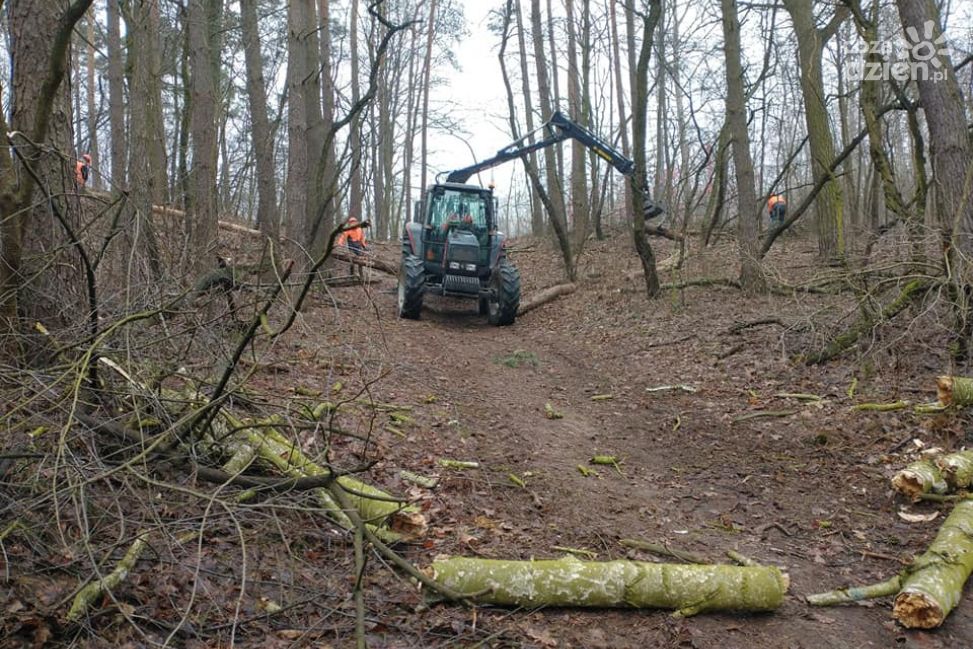 Zakaz wstępu do Lasu Śmiecińskiego. Trwa wycinka niebezpiecznych drzew