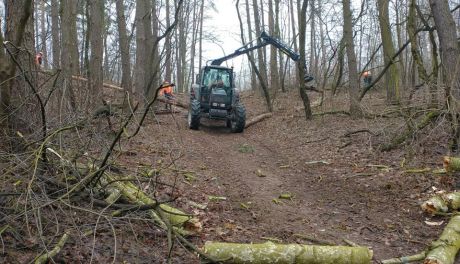Zakaz wstępu do Lasu Śmiecińskiego. Trwa wycinka niebezpiecznych drzew
