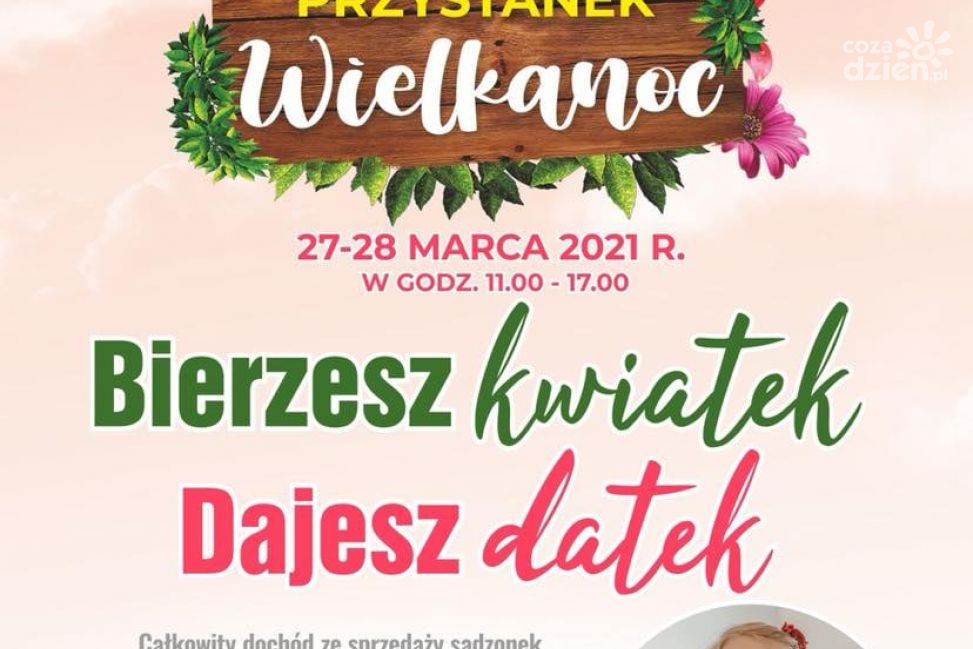 Kup kwiatek pomóż Laurze!