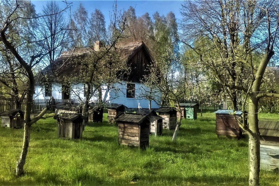 Chodzenie po oborniku, kąpiele nago - czyli o dawnych wielkanocnych zwyczajach Mazowsza