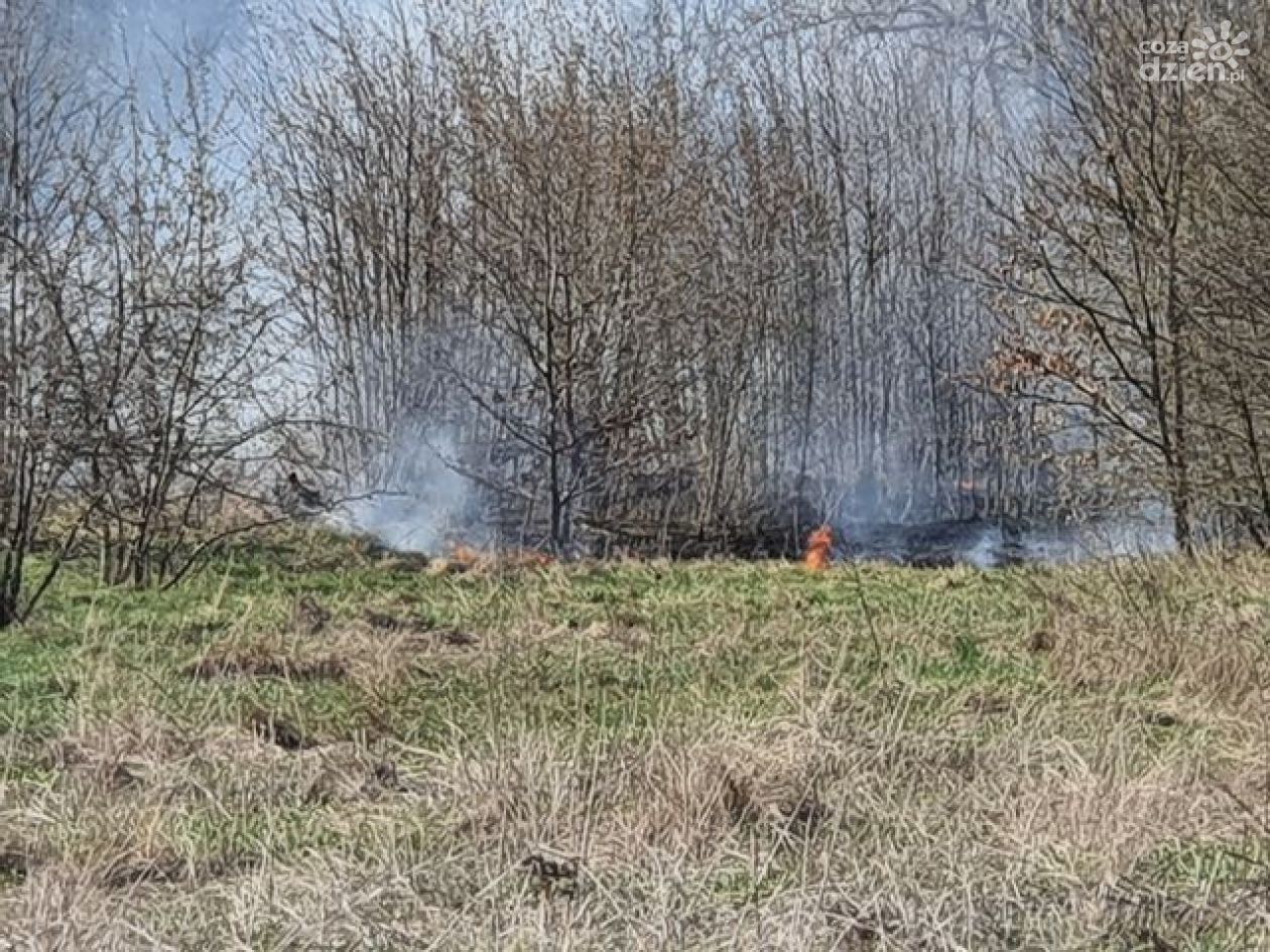 Z ostatniej chwili! Kolejny pożar traw!