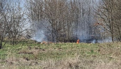 Z ostatniej chwili! Kolejny pożar traw!