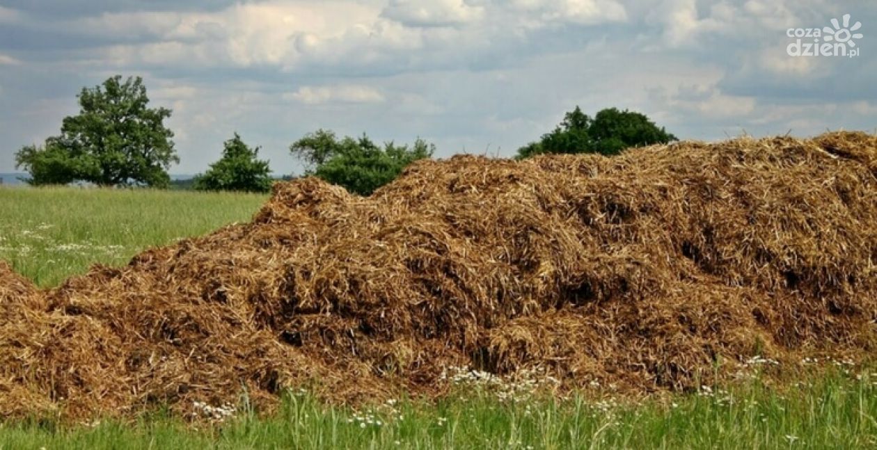 Radzanów. Mężczyzna igrał z ptasią grypą