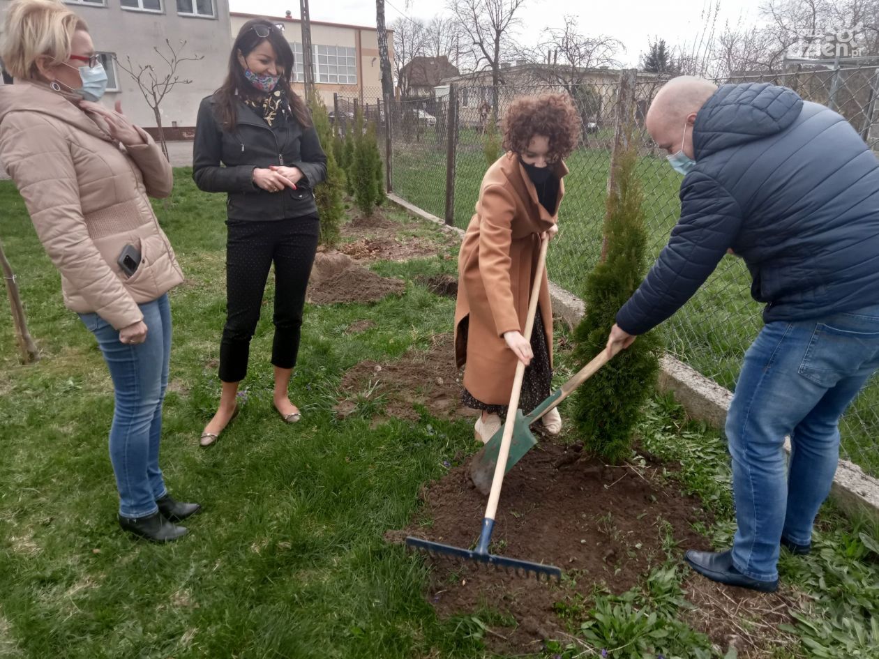 PEC sadzi drzewka w Ciechanowie