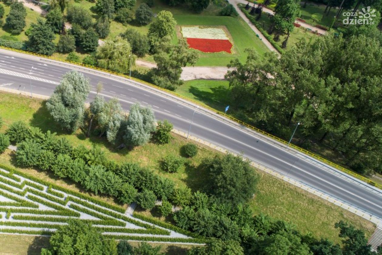 Ciechanów. Miasto pozyskało 200 tys. zł na rozwój zieleni