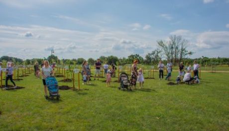 Ciechanów. Park przy ulicy Augustiańskiej gotowy!