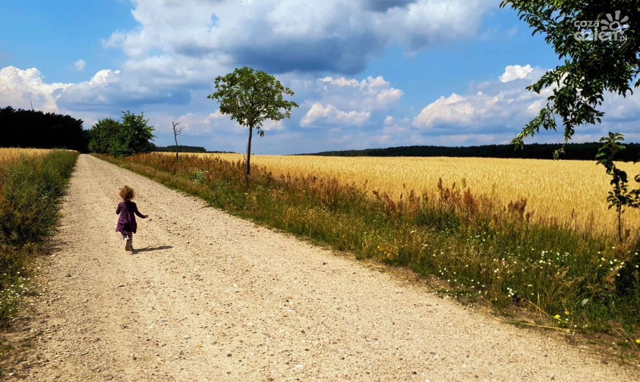 Bezpieczne wakacje na wsi