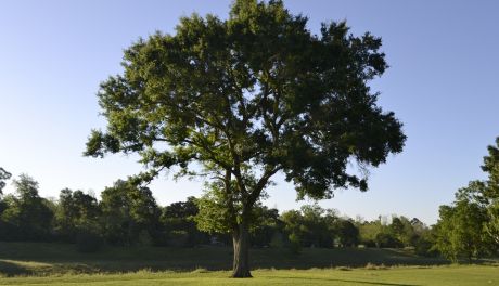 Samorząd Mazowsza wspiera ochronę powietrza