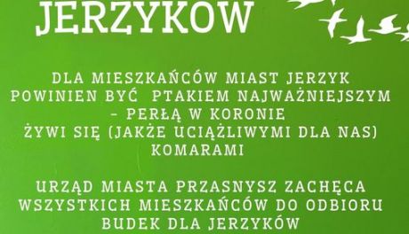 Urząd Miasta Przasnysz rozdaje budki dla jerzyków!