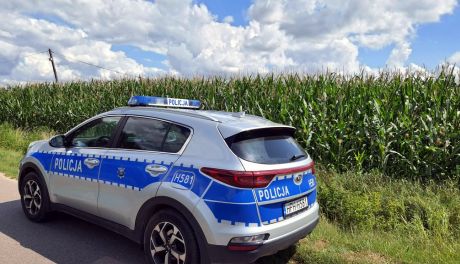 Szreńsk. Uciekł przed policją w pole kukurydzy