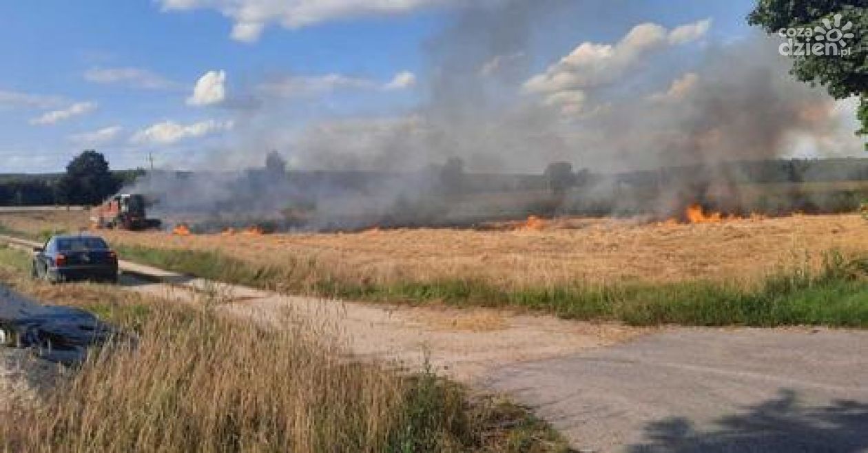 SPEED nie tylko od piratów drogowych