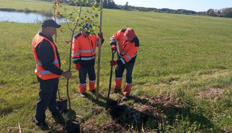 Zielone płuca powiatu ciechanowskiego rosną z w siłę!