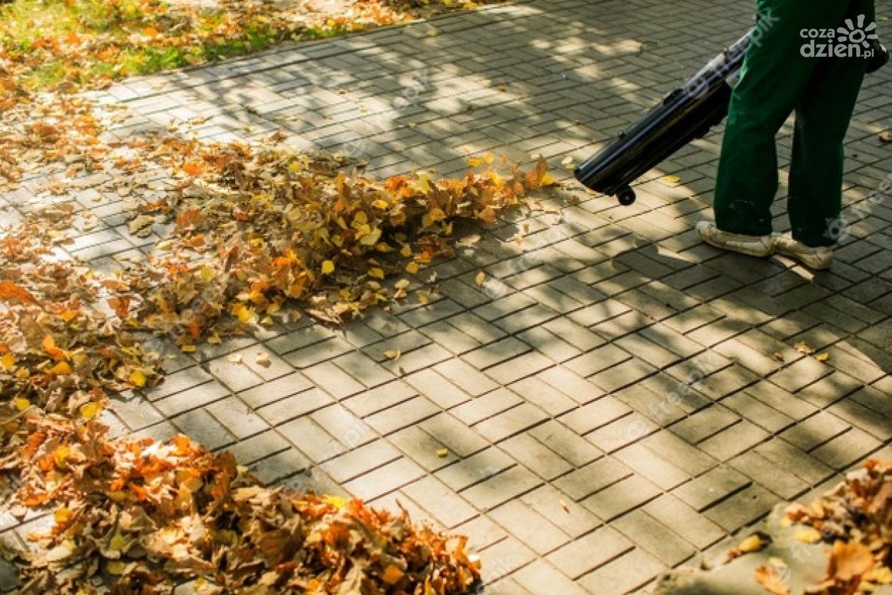 Liściasty problem. Zakaz wciąż obowiązuje!