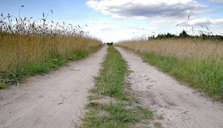 Kierował autem mając (!) cztery promile, zatrzymał się na polu