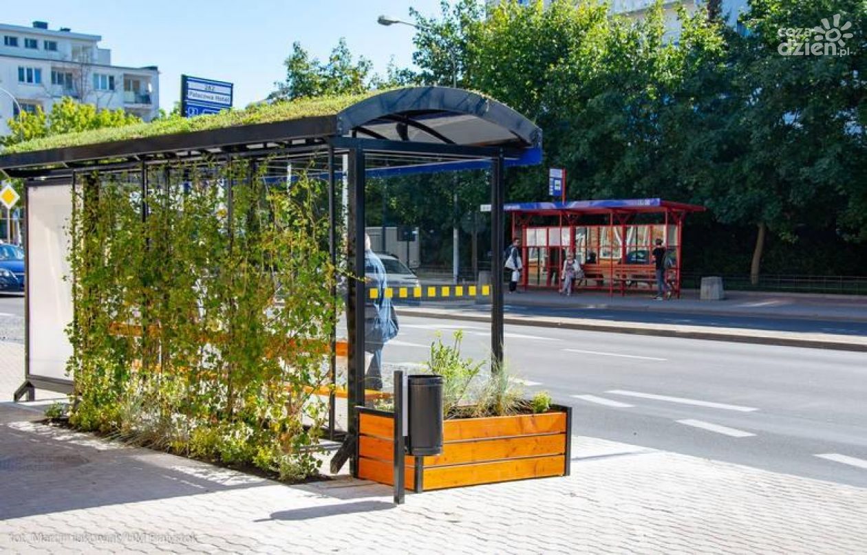 Zielone przystanki autobusowe w Ciechanowie