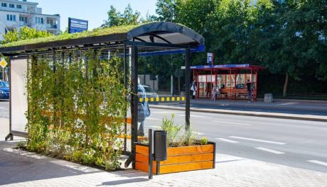 Zielone przystanki autobusowe w Ciechanowie