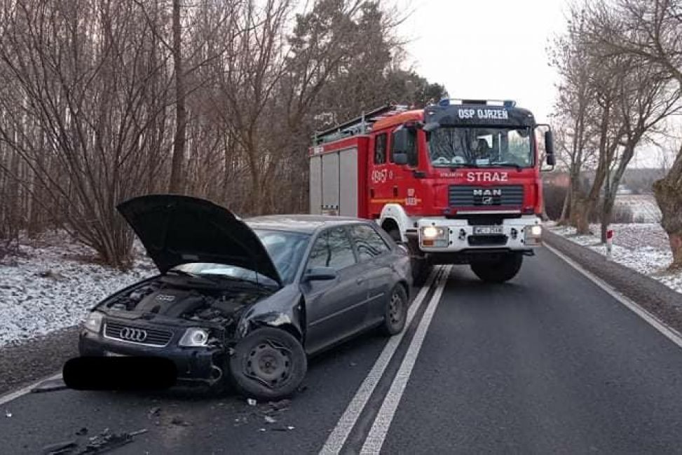 Sarna przyczyną czołówki między Ojrzeniem i Kraszewem