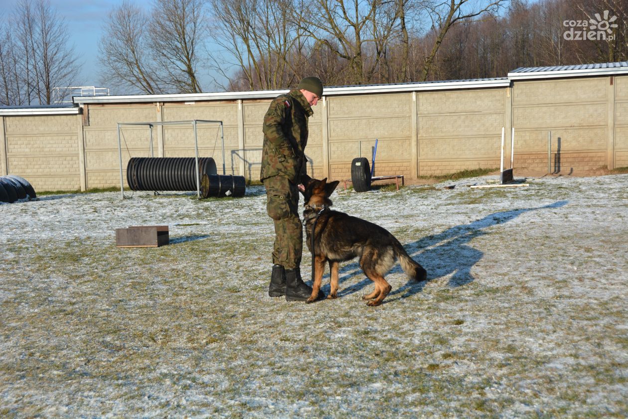 Mazowiecka Brygada Obrony Terytorialnej
rozpoczyna program „GPR K9 WOT”