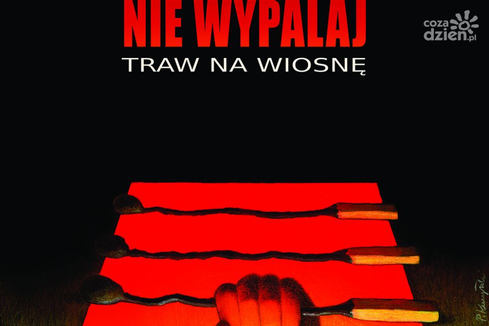 Za wypalanie traw Agencja Restrukturyzacji i Modernizacji Rolnictwa może nawet całkowicie pozbawić rolnika płatności bezpośrednich