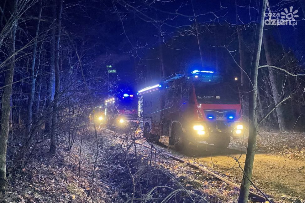 Pożar w Lesie Ościsłowskim. Winowajca już znany!