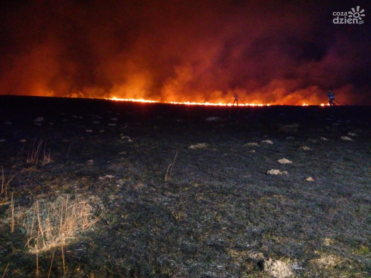Wieczorny pożar traw w Nowej Wsi