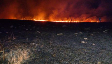 Wieczorny pożar traw w Nowej Wsi