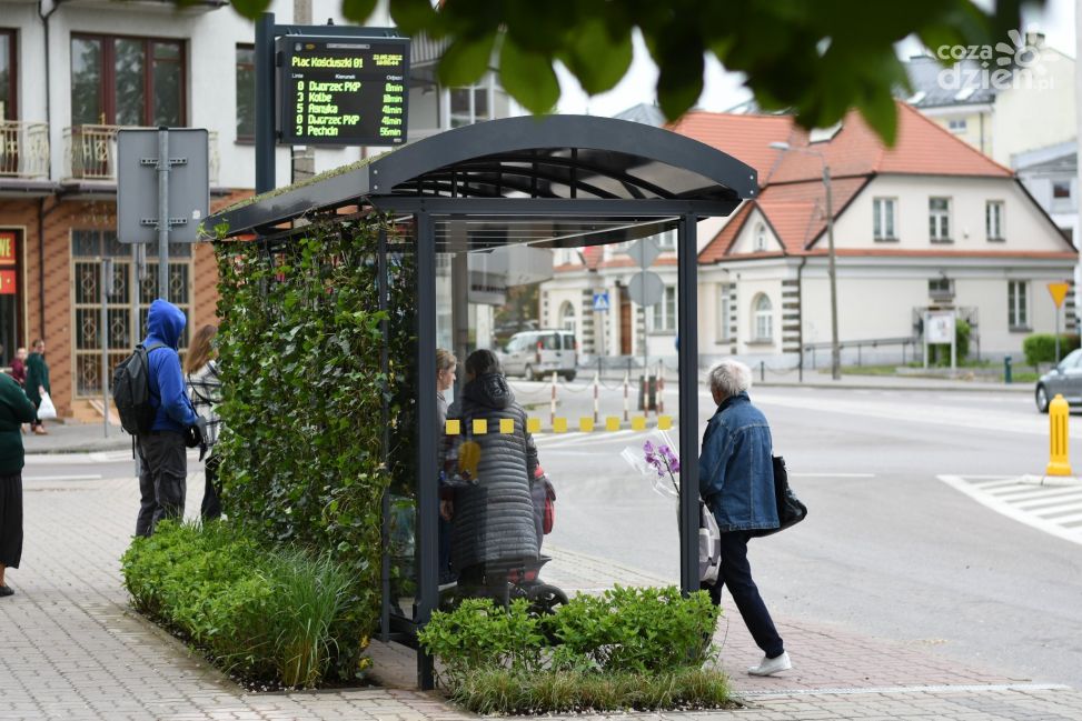Pierwszy TAKI w Ciechanowie. Na placu Kościuszki pojawił się zielony przystanek