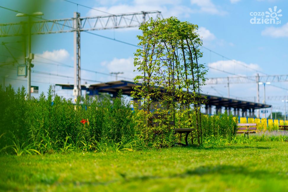 Pierwsza taka w Ciechanowie. Przy dworcu kolejowym powstała "Zielona poczekalnia"