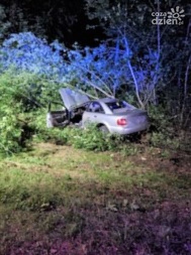 Nie żyje 22 letni kierowca. Zginał w wypadku po zderzeniu z łosiem