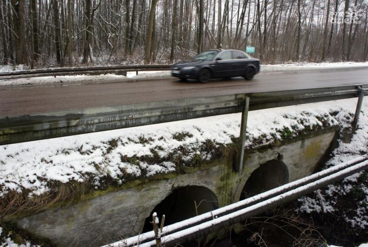 Pomogą, ale w przyszłym roku