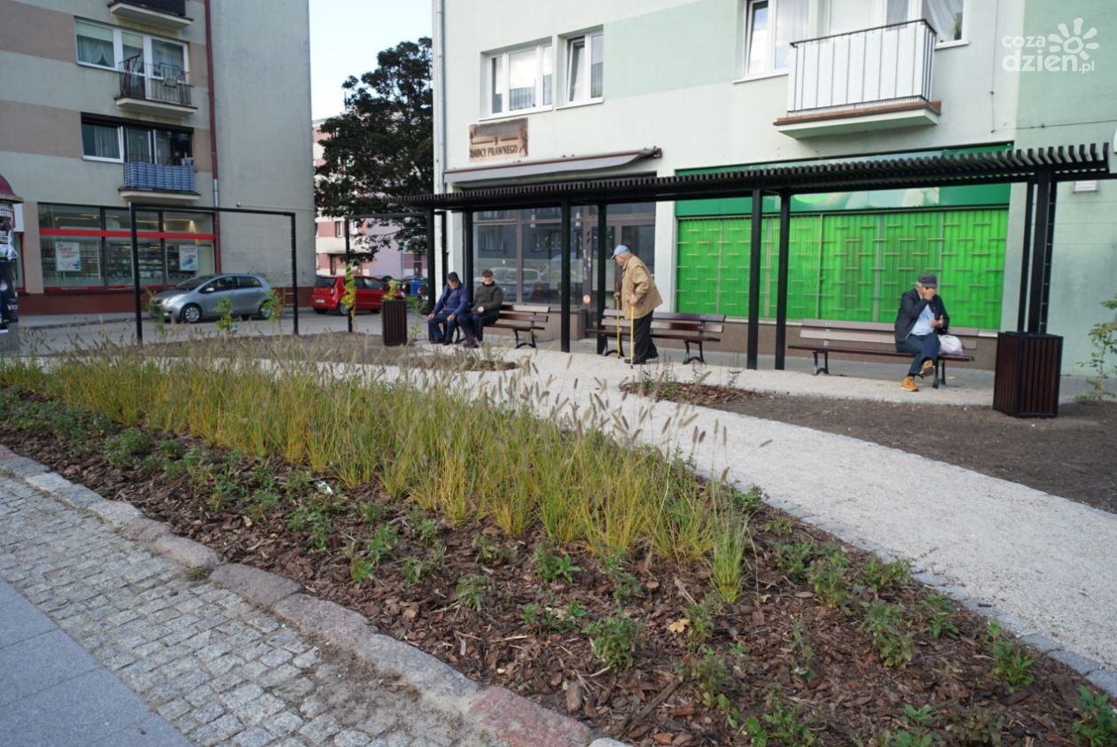 Więcej zieleni w centrum