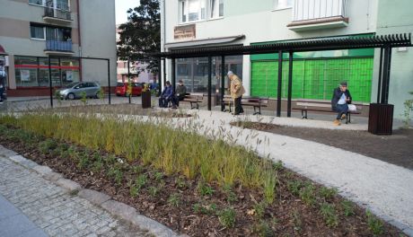 Więcej zieleni w centrum Ciechanowa. Powstał kolejny mini park