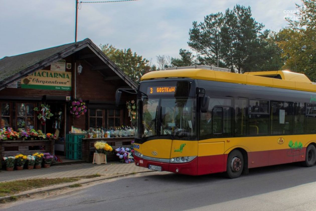 Autobusem na ciechanowski cmentarz. ZKM uruchamia dodatkowe linie 