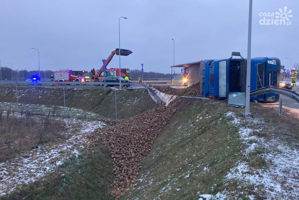 Buraki wstrzymały ruch na 60-tce. Dwugodzinna akcja ciechanowskich strażaków