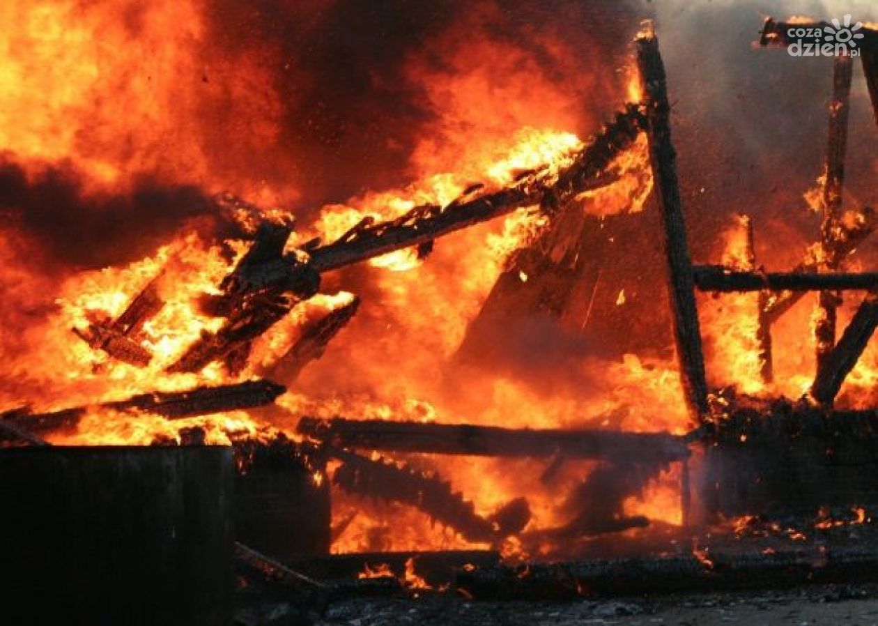 Tragiczny pożar w Glinojecku. Zapalił się domek letniskowy, jedna osoba nie żyje 