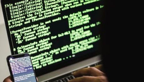 Cyberprzestęcy zbierają żniwo pod Płońskiem