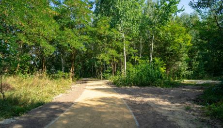 Ciechanów. Miasto rozbudowało ścieżki na Krubinie