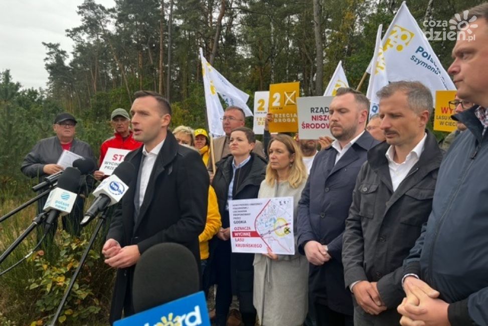 Obwodnica Ciechanowa przez środek Lasu Krubińskiego. Kosiński: To nie jest pierwszy zamach na ten las