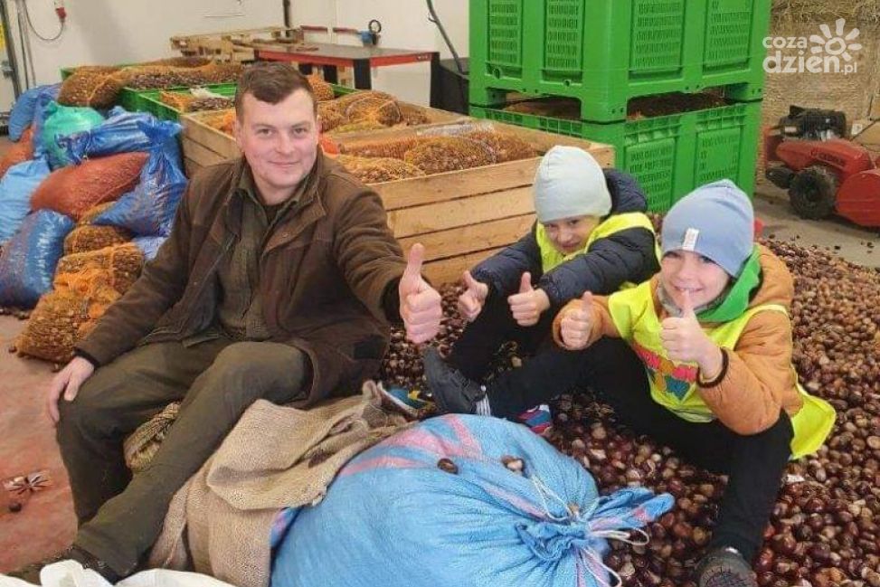 Konkurs dla szkół pn. „Razem dla żubra” rozstrzygnięty. 